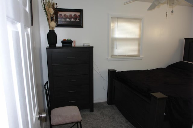 bedroom with carpet floors