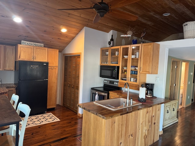 kitchen featuring a sink, lofted ceiling, dark wood-type flooring, and black appliances