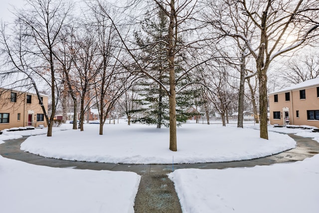 view of snowy yard