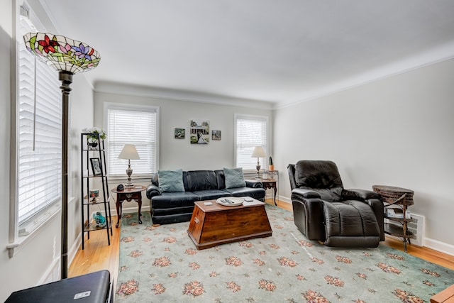 living room with baseboards and wood finished floors