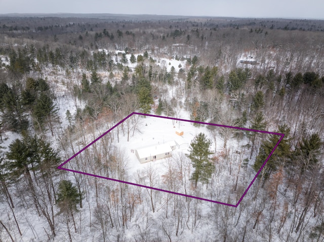 bird's eye view with a view of trees