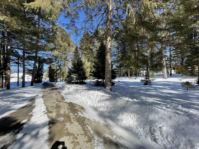 7836 W Perch Lake Dr, Lake, MI 48632
