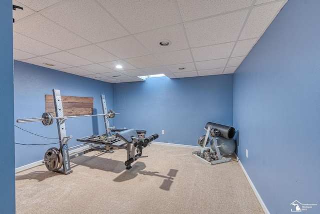 exercise area with a drop ceiling, carpet flooring, and baseboards