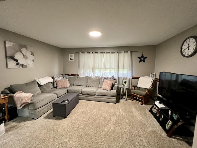 living room with carpet