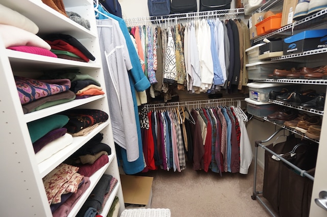 walk in closet featuring carpet flooring