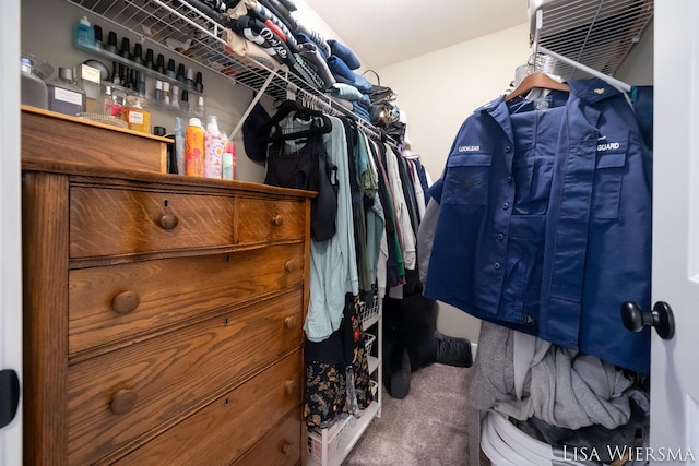 walk in closet featuring carpet flooring