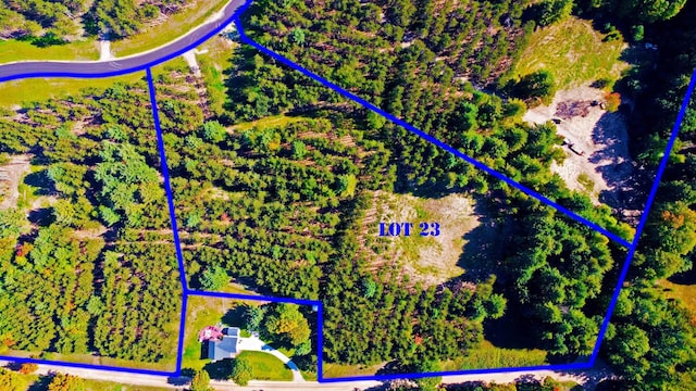 UNIT23 NW Dockery Rd NW, Williamsburg MI, 49690 land for sale