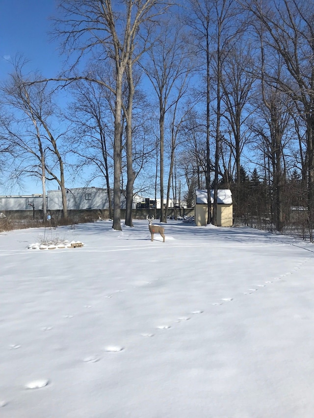 view of snowy yard