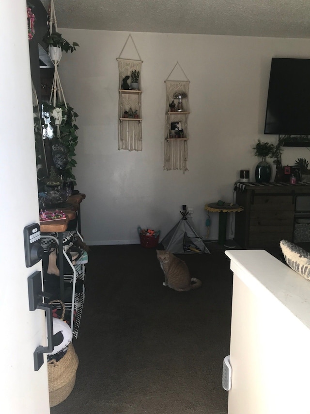 interior space with carpet and a textured ceiling