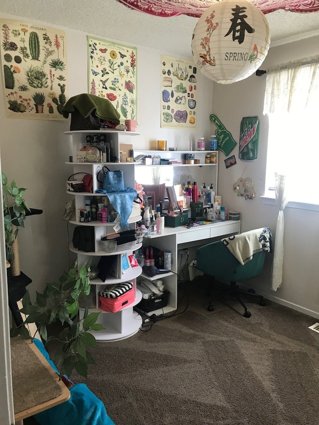 office space with visible vents, carpet flooring, and a textured ceiling