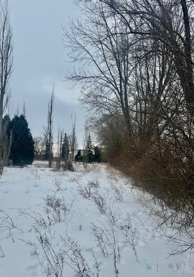 view of yard layered in snow