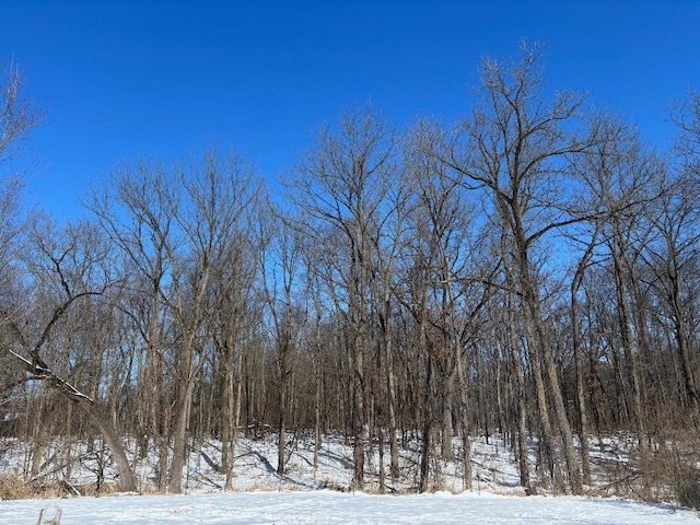 view of snow covered land