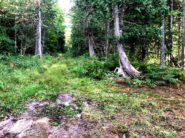 Listing photo 2 for TBD Keweenaw Pass Road, Lake Linden MI 49945