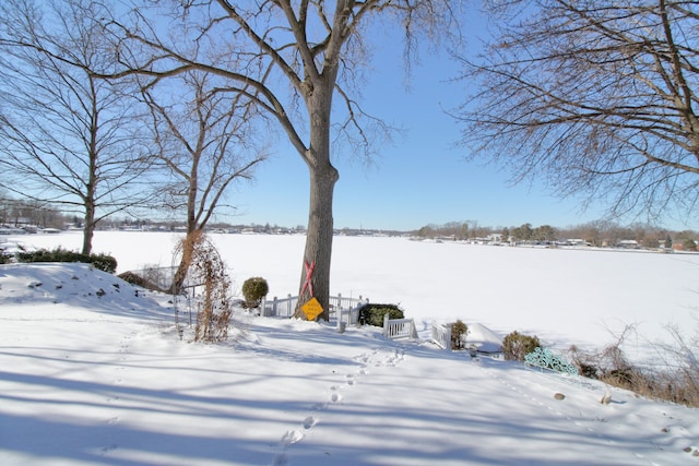 view of snowy yard