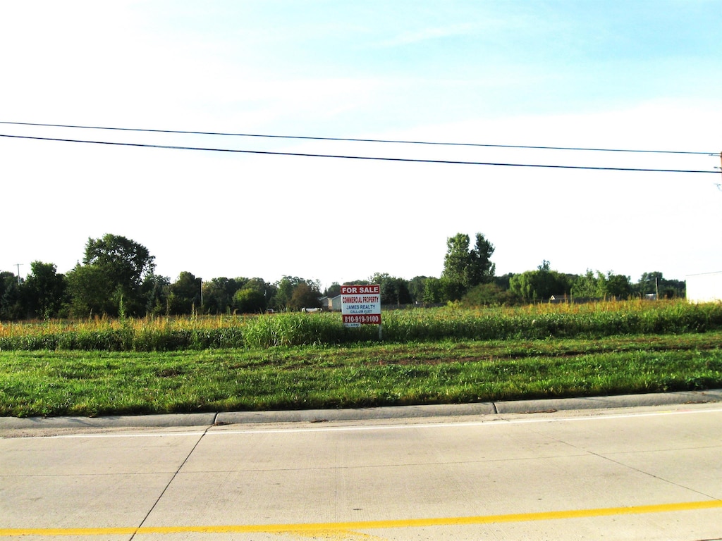 Grnd Blanc Rd, Swartz Creek, MI 48473 - photo 1