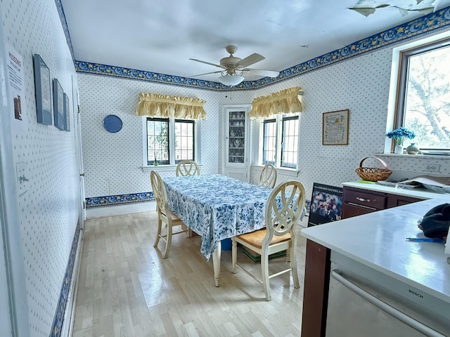 dining area featuring light wood-type flooring, wallpapered walls, and a ceiling fan