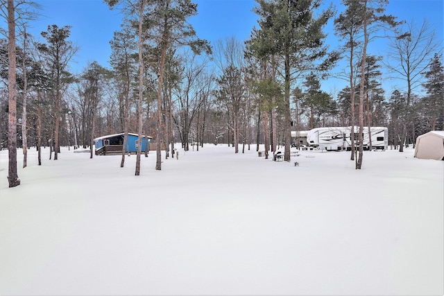 view of snowy yard