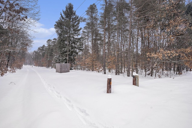 view of yard layered in snow