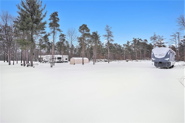 view of yard covered in snow