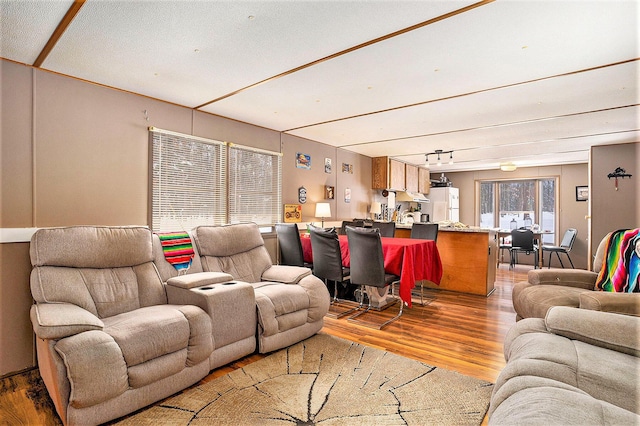 living room with track lighting and light wood finished floors