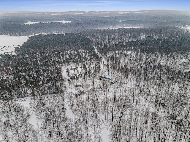 snowy aerial view featuring a forest view and a mountain view