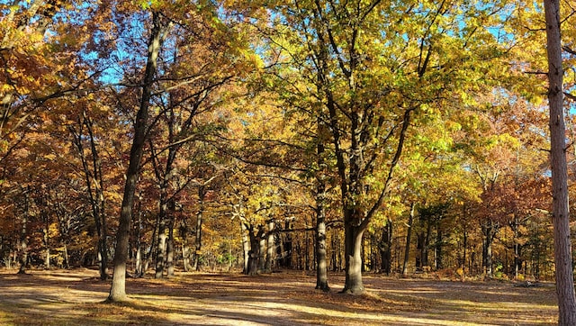 view of home's community featuring a forest view