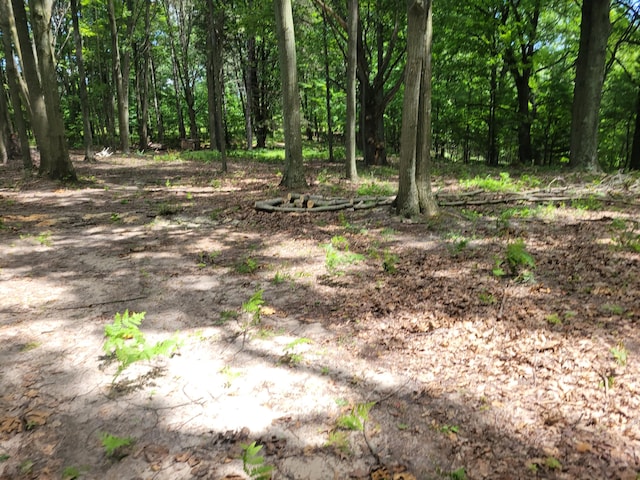 view of local wilderness