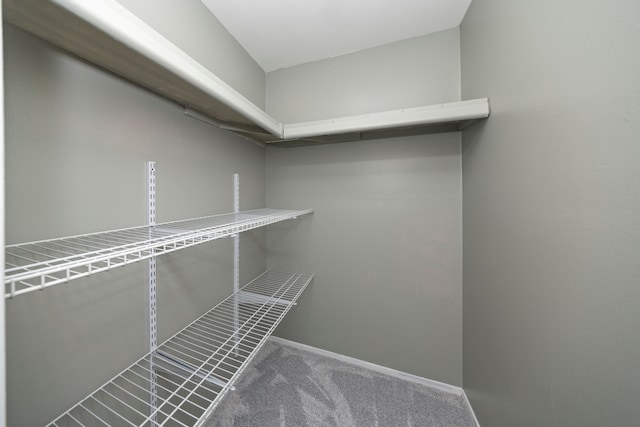 walk in closet featuring carpet flooring