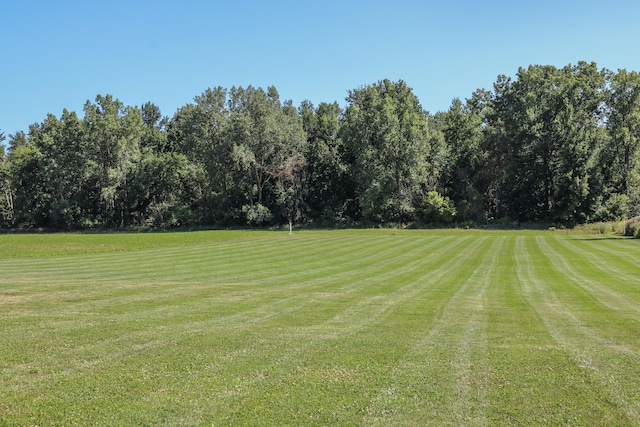 surrounding community featuring a yard