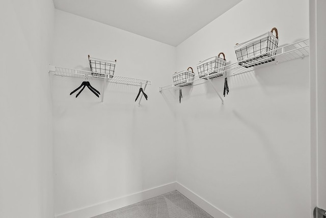 walk in closet featuring carpet floors