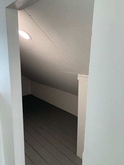 interior space with vaulted ceiling and dark wood-type flooring