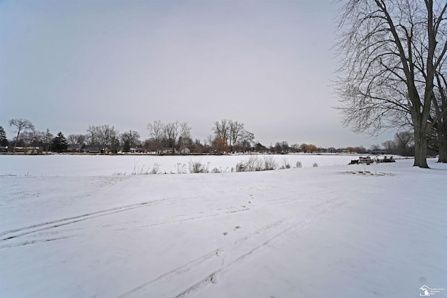 view of yard layered in snow