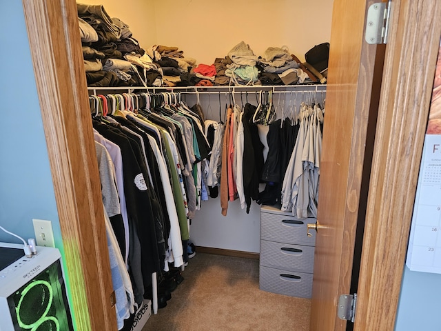 walk in closet featuring carpet floors