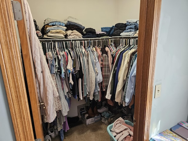 spacious closet featuring carpet