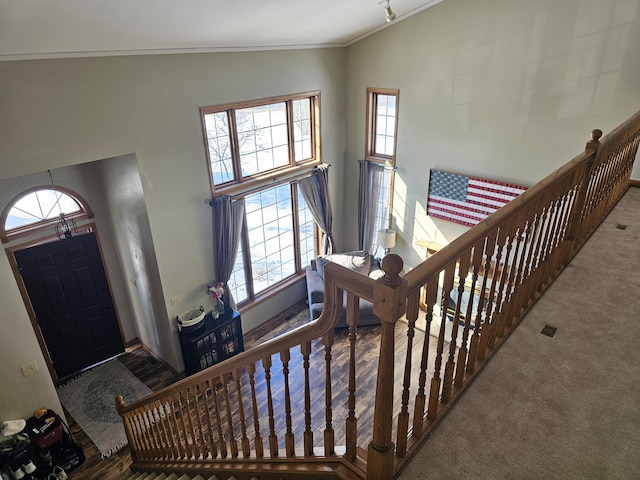 carpeted entryway with crown molding