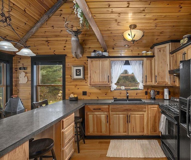 kitchen with a sink, dark countertops, black range with gas cooktop, and wood walls