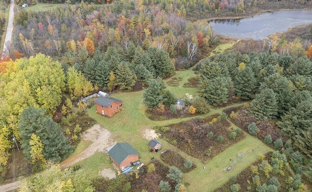 bird's eye view featuring a water view and a wooded view