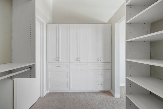 walk in closet with light colored carpet