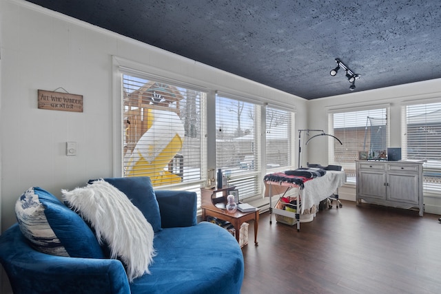 living area featuring dark wood-style floors and ornamental molding