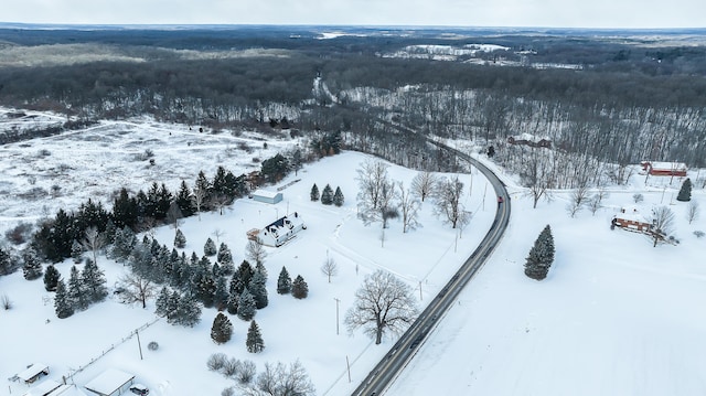 view of snowy aerial view