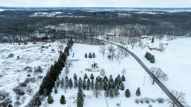 view of snowy aerial view