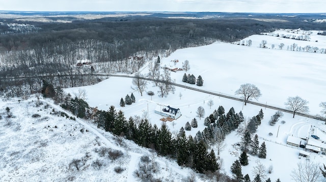 view of snowy aerial view