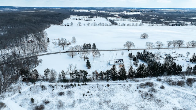 view of snowy aerial view