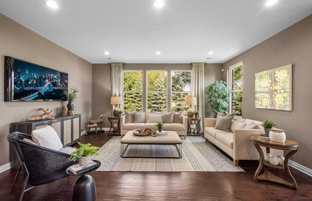 living area featuring baseboards, wood finished floors, and recessed lighting