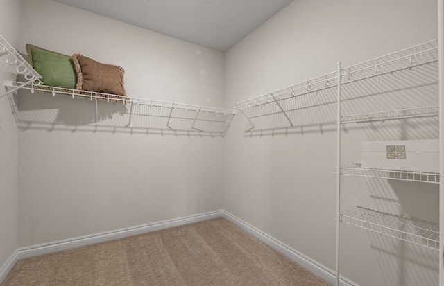 walk in closet with carpet