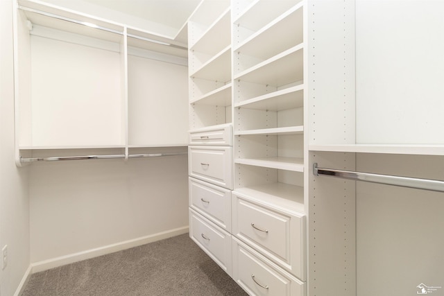 walk in closet with carpet flooring