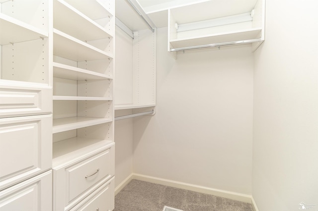 spacious closet with carpet