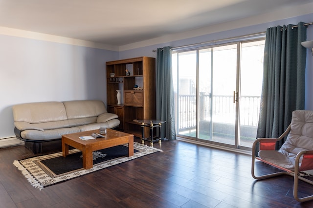 living area featuring dark wood-style floors