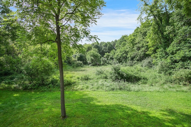 view of yard with a forest view