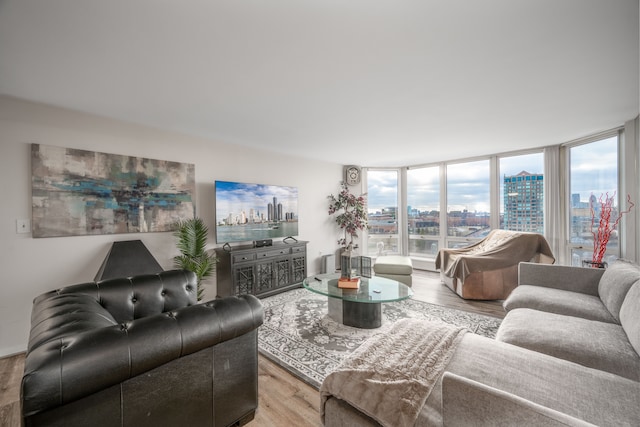 living room featuring floor to ceiling windows and light wood-style flooring